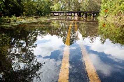 Dangerous Roadways